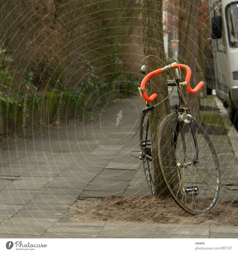 | ne runde drehn | Zweck Fahrrad Rennrad Sport lässig Hirsche Reifen trimm dich ausapern Fahrradlenker Wege & Pfade