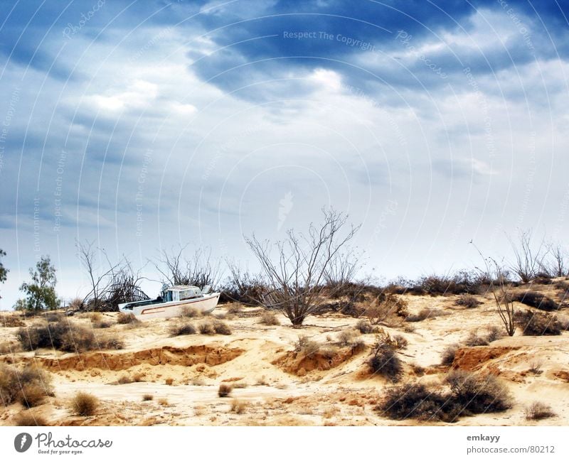 Gestrandet Schiffbruch gestrandet Wasserfahrzeug Wellen Strand Stimmung Unwetter Ödland Sandbank Sturm Fischerboot Wüste schiffsbruch hilflos Himmel Landschaft