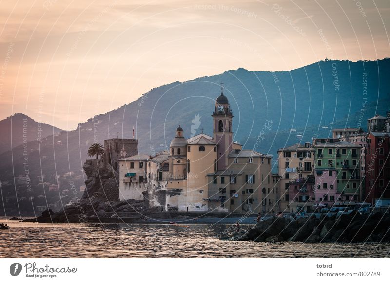 Camogli Ferien & Urlaub & Reisen Tourismus Mensch Sommer Schönes Wetter Wald Hügel Felsen Gipfel Wellen Küste Strand Bucht Italien Ligurien Dorf Hafenstadt