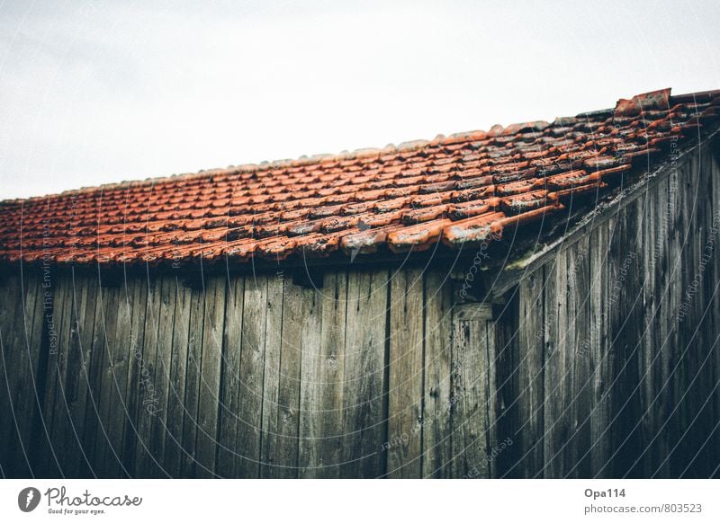 Alte Hütte Dach Backstein Tonziegel Holz Senior Verfall "Ziegel Rot vermodert Moos Dachziegel Einsam alt verkommen Unterschlupf Gebäude Alterung" Farbfoto