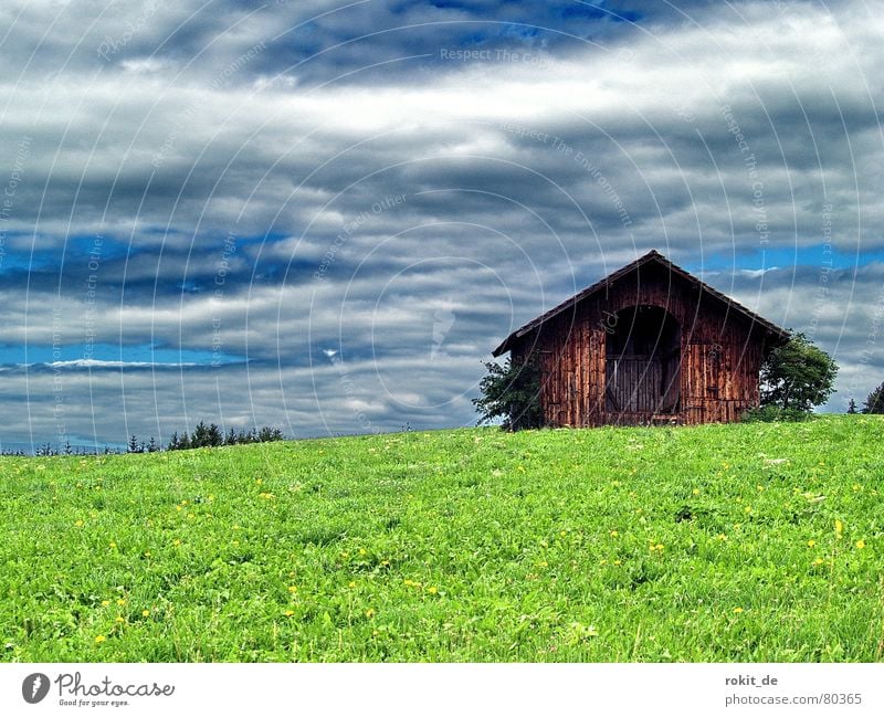 Almöhi´s Garage Holzhütte Berghütte Wolken dunkel grün saftig Allgäu Rieden Alpöhi Zufluchtsort Viehweide Unterkunft Bergwiese Gras Versteck Berge u. Gebirge