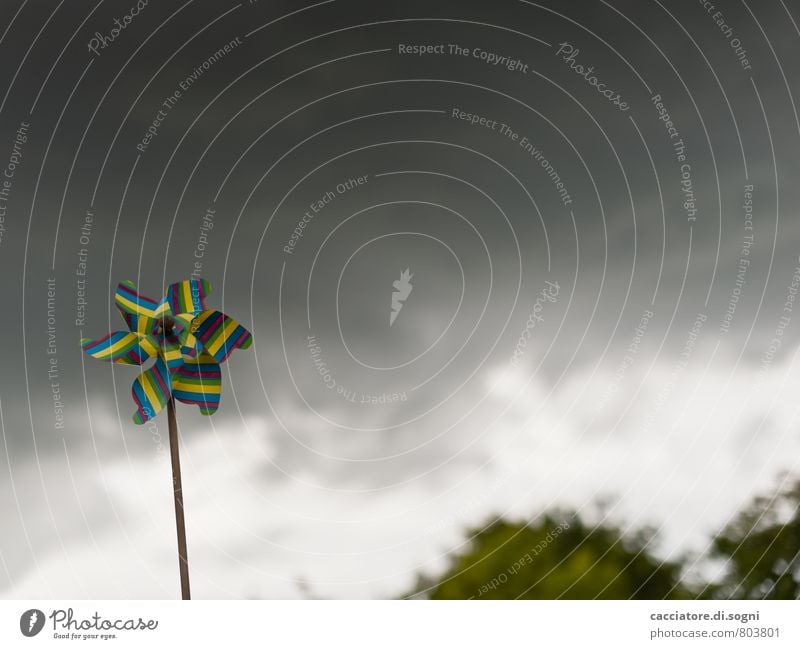 Die Ruhe vor dem Sturm Landschaft Himmel Gewitterwolken Sommer Wetter schlechtes Wetter Unwetter Spielzeug Dekoration & Verzierung Kitsch Krimskrams Windrad