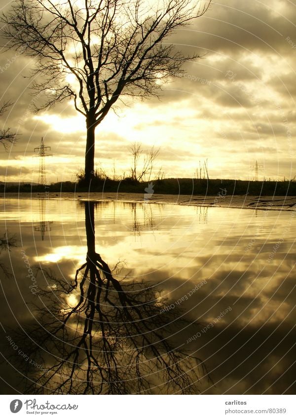 Altes Thema, ich geb's zu .. Baum Pfütze Reflexion & Spiegelung Wolken dramatisch Wind Leidenschaft Elektrizität Strommast Hochspannungsleitung Horizont Mitte