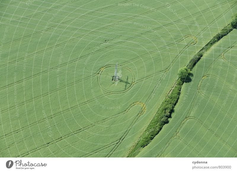 Eingekreist Landwirtschaft Forstwirtschaft Energiewirtschaft Umwelt Natur Landschaft Sommer Feld Wege & Pfade ästhetisch Genauigkeit Idylle komplex Leistung