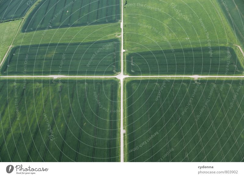 Im Mittelpunkt Güterverkehr & Logistik Umwelt Natur Landschaft Sommer Feld Straße Wege & Pfade Wegkreuzung ästhetisch Bewegung entdecken Freiheit Idylle