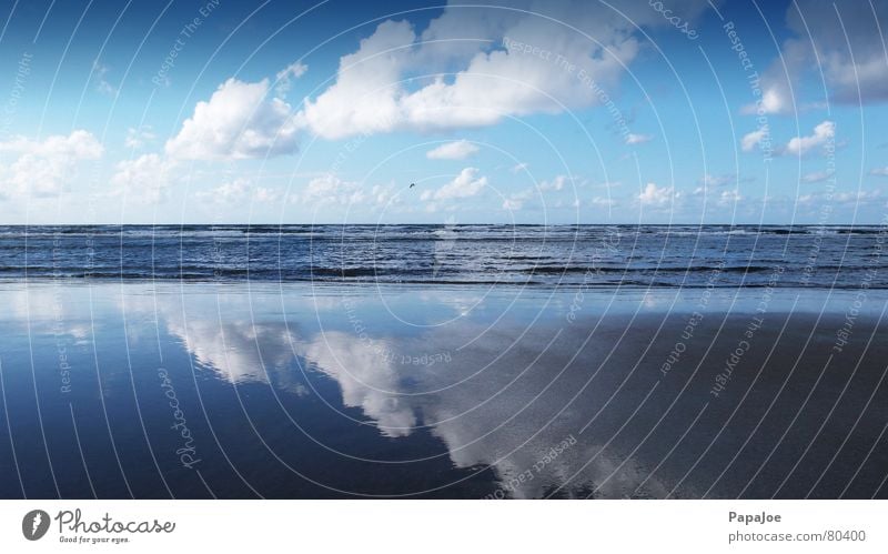 Die Möwe Jonathan Wolken Einsamkeit Strand Fotografie Fotografieren kalt nass Meer Horizont feucht Eis Umwelt frisch Badestelle Wildnis Winter Momentaufnahme