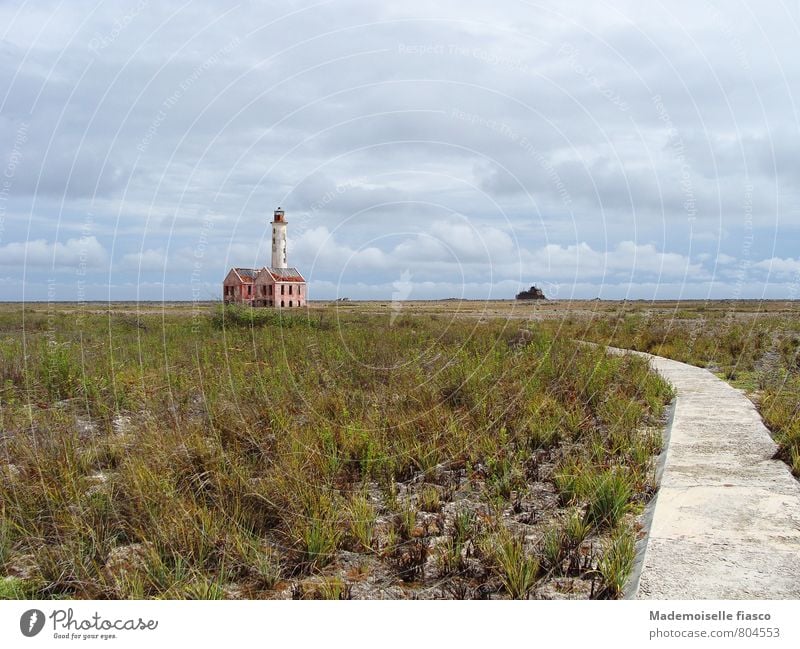 Leuchtturmruine auf verlassener Insel Landschaft Erde Sand Sträucher Ruine Sehnsucht Fernweh Einsamkeit Horizont stagnierend Verfall Vergänglichkeit Ferne