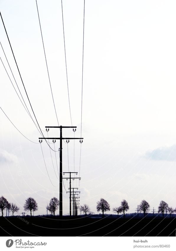 Schwarzer Umweltstrom Weg Silhouette Elektrizität Baum schwarz trist Horizont Gemälde Eisen Versorgung Symmetrie Leitung Schatten Himmel Erde Stromkraftwerke