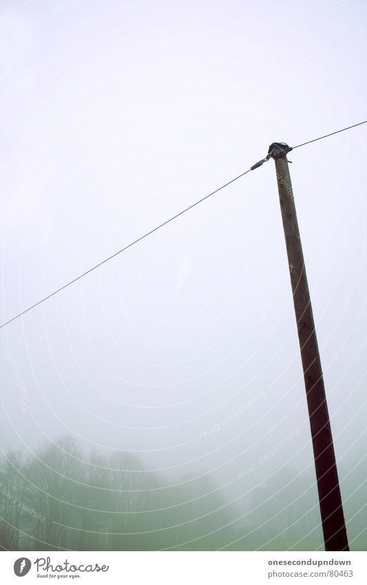 Mast dunkel Nebel gruselig leer Baum Winter kalt grau Dezember Menschenleer abgelegen fremd außergewöhnlich trist herzlos Schleier geisterhaft Eis unheimlich