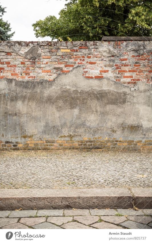 alte Mauer in Kreuzberg Himmel Schönes Wetter Baum Berlin Menschenleer Architektur Wand Bürgersteig Backstein Straße Kopfsteinpflaster authentisch dreckig