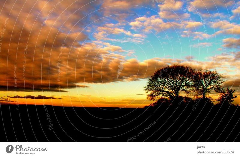 Melancholie Wolken Sonnenuntergang Baum Himmel schön Ende Beginn jarts Traurigkeit