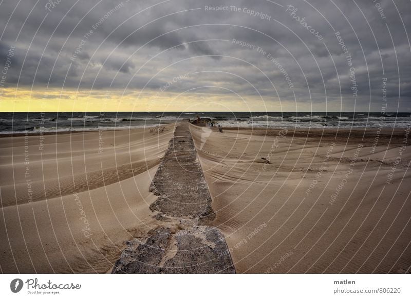 vom Winde verweht Natur Landschaft Sand Luft Wasser Himmel Wolken Horizont Sonnenlicht Frühling Wetter Schönes Wetter schlechtes Wetter Sturm Wellen Küste