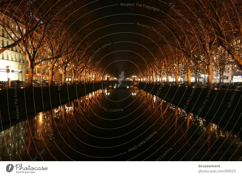 kastanienallee bis 1848 Queue Nacht Reflexion & Spiegelung Baum Winter Verkehrswege Langzeitbelichtung Wasser kö königsallee Düsseldorf