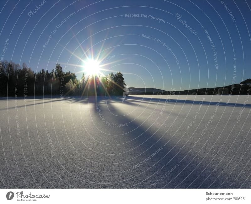 Sonnenuntergang kalt Strukturen & Formen Licht Sonnenstrahlen Waldrand Flutlicht Ferne verdunkeln Stimmung Winter Sonnenfleck unberührt Korona Schönes Wetter