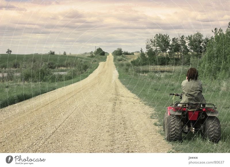 Weg mit dem Quad-Rad Buggy (Motorrad) Lebenslauf Wolken schlechtes Wetter Silhouette Auspuff Pause Denken Frau grün beige Baum Sträucher Gelände Ferne flüchten