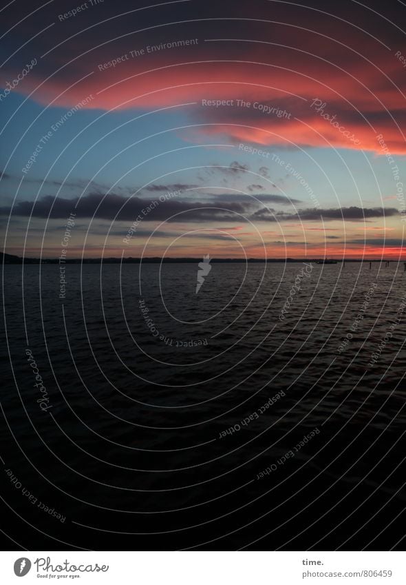 Watteträumchen Umwelt Natur Wasser Himmel Wolken Horizont Sonnenaufgang Sonnenuntergang Sommer Küste See Bodensee Wasseroberfläche maritim Gefühle Stimmung