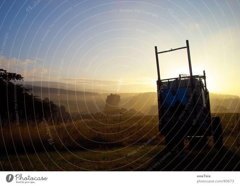 morgenstund hat gold im mund Morgen Ferne Landwirtschaft Nebel Baum Wiese Sonnenaufgang Feld Hügel Wolken Gegenlicht Frühling Himmel Weide wide morning glory