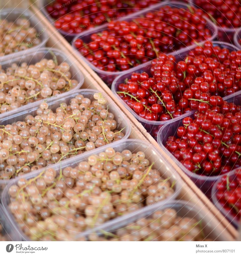 Beerenschnitt Lebensmittel Frucht Ernährung Bioprodukte Vegetarische Ernährung Diät Gesunde Ernährung frisch Gesundheit lecker sauer süß Johannisbeeren