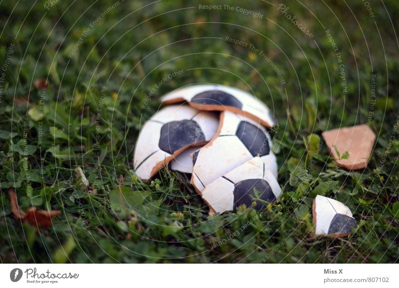 Vorbei Sport Ballsport Sportveranstaltung Verlierer Fußball Sportstätten Fußballplatz Gras Wiese kaputt Gefühle Stimmung Traurigkeit Verzweiflung Volksglaube