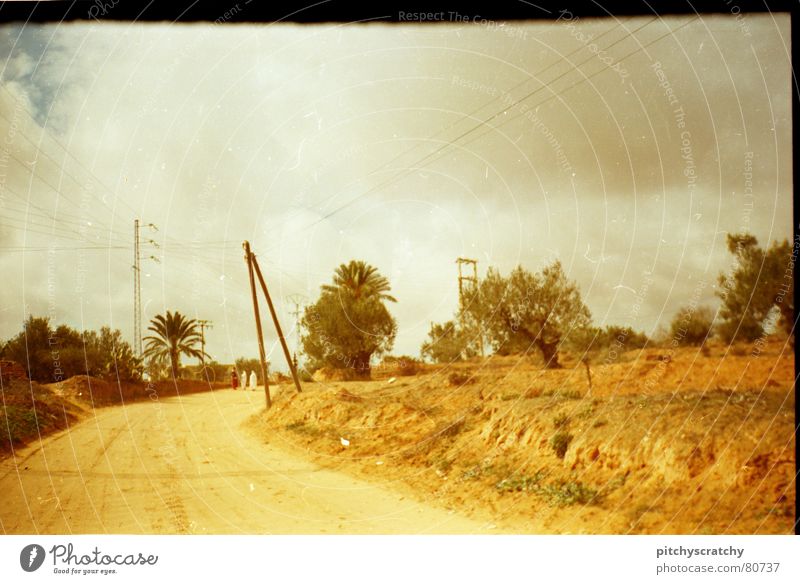 Sraße in Tunesien gelb weiß Dorf Palme Einsamkeit Wege & Pfade way Straße street Scan scratch white Himmel Wüste desert