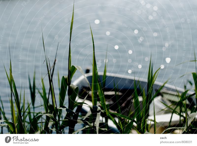 Seelenbalsam | ablegen Angeln Sommer Sonne Frühling Schönes Wetter Pflanze Blume Gras Sträucher Schilfrohr Küste Seeufer Flussufer Teich Bootsfahrt Fischerboot