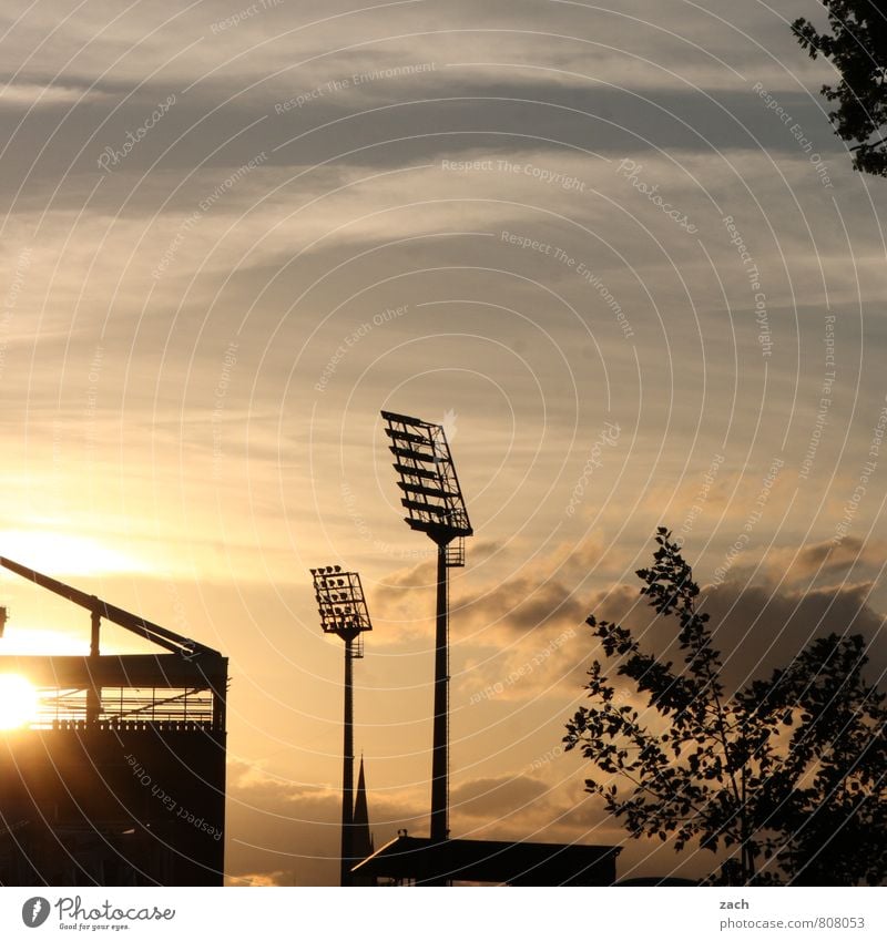 Götterdämmerung Sport Ballsport Tribüne Fußball Sportstätten Fußballplatz Stadion Millerntor Flutlicht Himmel Wolken Baum blau schwarz Farbfoto Gedeckte Farben