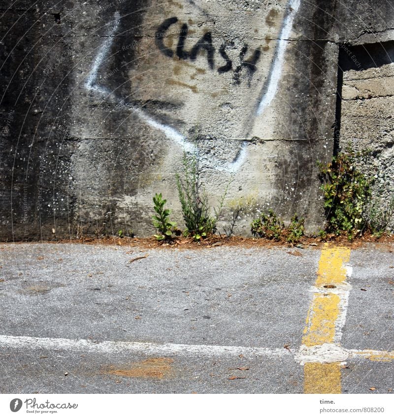 auä Pflanze Mauer Wand Verkehr Verkehrswege Straße clash Stein Beton Zeichen Schriftzeichen Schilder & Markierungen Hinweisschild Warnschild Verkehrszeichen