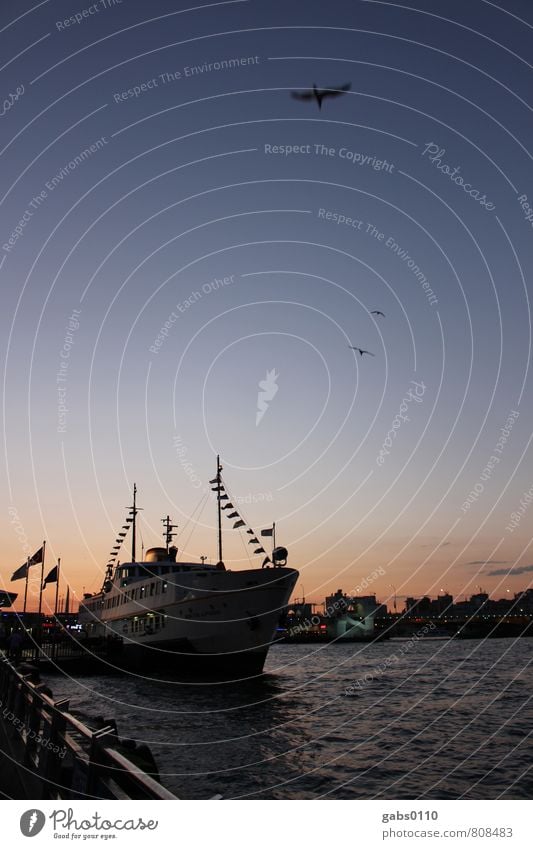 Schiff Ahoi! Verkehr Verkehrsmittel Schifffahrt Bootsfahrt Passagierschiff Fischerboot Ferien & Urlaub & Reisen Himmel Vogel Möwe Wasserfahrzeug Meer Istanbul