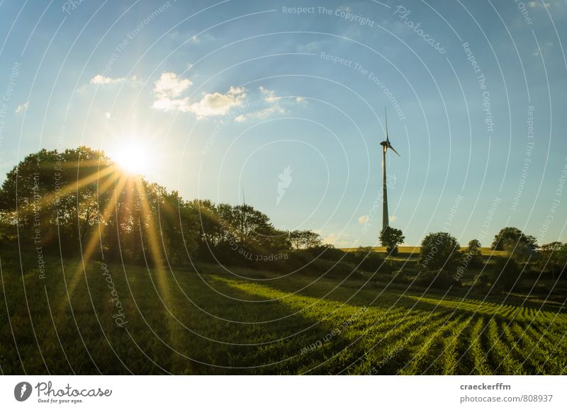 Feld Natur Landschaft Sonne Sonnenlicht Sommer Schönes Wetter Wärme Hügel blau grün authentisch Umwelt Vogelsberg Windkraftanlage Farbfoto Außenaufnahme