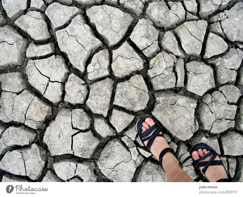 walking on (too much) sunshine Sandale Schuhe trocken Dürre Strand Küste Fuß Erde Salzwiese Bodenbelag getrocknet Riss Nordsee Spalte feet soil salt meadow