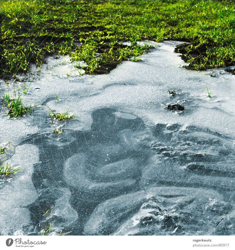 Eis Alb Pfütze Feld Wiese kalt gefroren Winter Frost