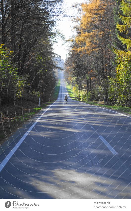 Textfreiraum | unten Mensch feminin Frau Erwachsene 1 30-45 Jahre Umwelt Natur Landschaft Pflanze Erde Sonnenlicht Herbst Schönes Wetter Baum Blatt Grünpflanze