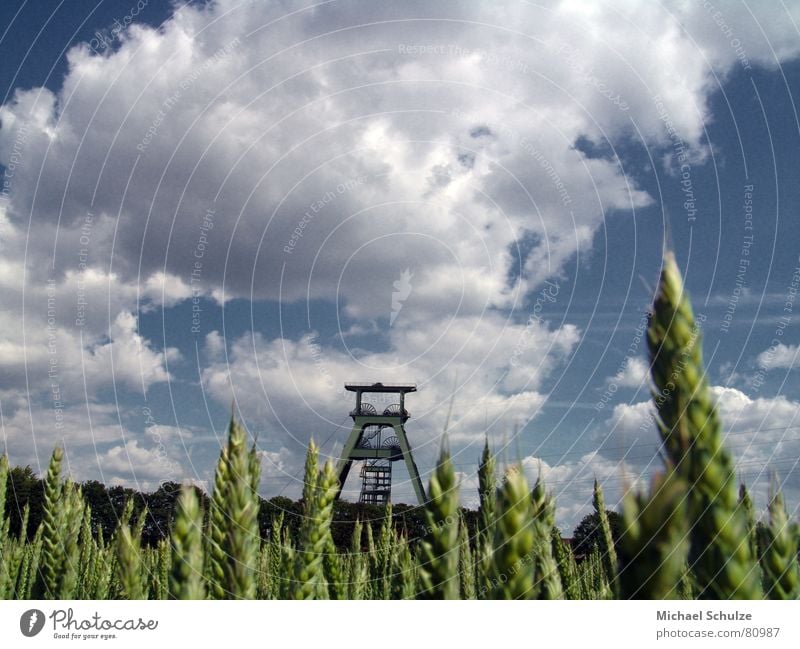 schacht im feld Atommüll Feld Sommer Wolken Weizen Industrie schacht konrad Himmel Wind