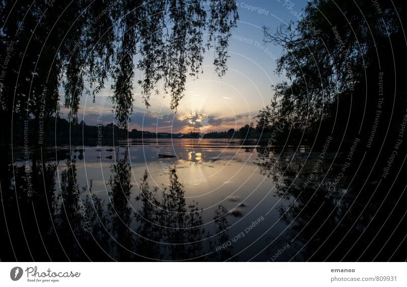 Seepark sunset Ferien & Urlaub & Reisen Ferne Freiheit Sommer Umwelt Natur Landschaft Pflanze Wasser Himmel Wolken Horizont Sonne Wetter Baum Blatt dunkel blau