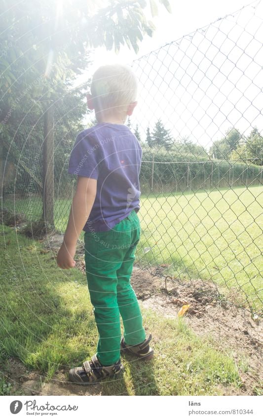 Luci lugt Kind Junge Kindheit Leben Körper 1 Mensch 3-8 Jahre Sonnenlicht Sommer Garten Wiese T-Shirt Hose stehen lernen Interesse Beginn bedrohlich