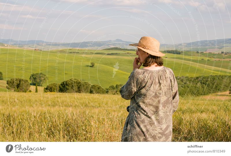 Mmh... war Monet schonmal hier? Umwelt Landschaft Sommer Schönes Wetter Pflanze Baum Gras Sträucher Grünpflanze Nutzpflanze Wiese Feld Wald Hügel Blick stehen