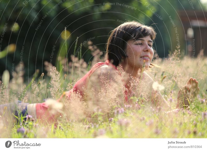 VrO feminin Frau Erwachsene 1 Mensch 18-30 Jahre Jugendliche Natur Sonnenlicht Sommer Pflanze Blume Gras Sträucher Blatt Blüte Grünpflanze Garten Wiese T-Shirt