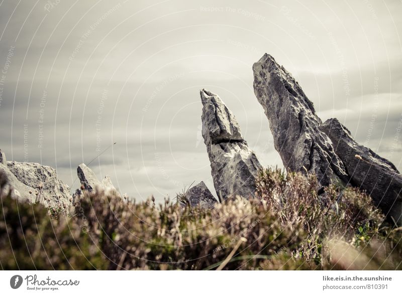 rocky ireland Berge u. Gebirge Umwelt Natur Landschaft Pflanze Urelemente Erde Himmel Sträucher Moos Felsen Stein Steinblock Republik Irland karg grau Spitze