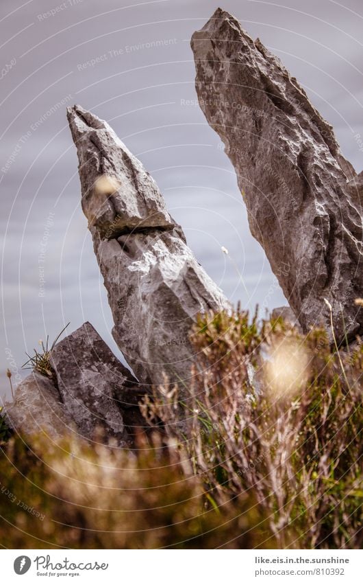 steiniges irland Berge u. Gebirge Umwelt Natur Landschaft Pflanze Urelemente Erde Himmel Sträucher Moos Felsen Stein Steinblock Republik Irland karg grau Spitze