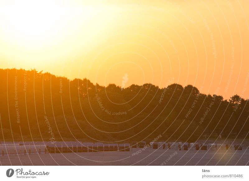 bis zum nächsten Tag Ferien & Urlaub & Reisen Tourismus Ausflug Natur Landschaft Sand Himmel Sommer Baum Küste Strand Ostsee gelb orange Sehnsucht Fernweh