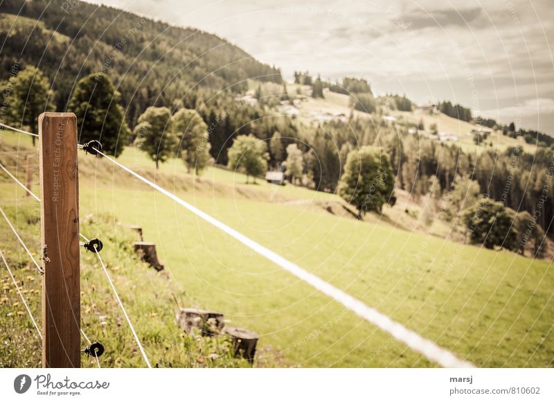 drin oder draußen? Natur Landschaft Himmel Sonnenlicht Frühling Sommer Schönes Wetter Baum Wiese Wald Hügel Zaunpfahl Weidezaun Viehweidezaun Holz authentisch