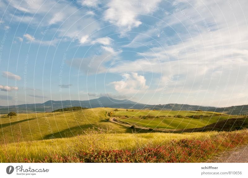 Weites Land Umwelt Natur Landschaft Pflanze Himmel Wolken Sonnenlicht Sommer Schönes Wetter Gras Sträucher Wiese Feld Hügel Berge u. Gebirge Kitsch schön blau