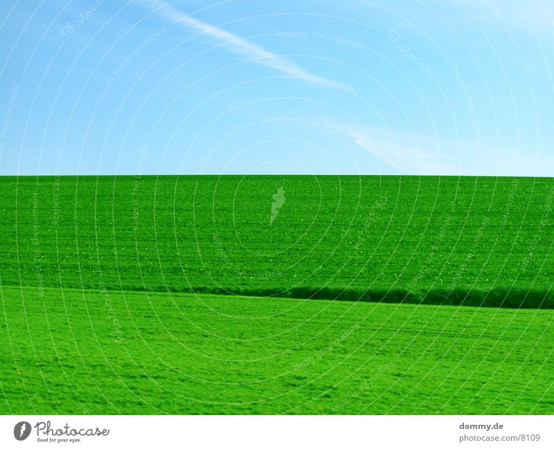 Picknick Zeit !!! Wiese grün Gras Himmel blau kaz