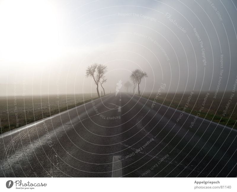 Nebel Baum Horizont Feld Wolken Fernstraße Straßenverkehr Landstraße Fahrbahn Aussicht Schnellstraße Nebelschleier Verkehrswege Winter Himmel Perspektive