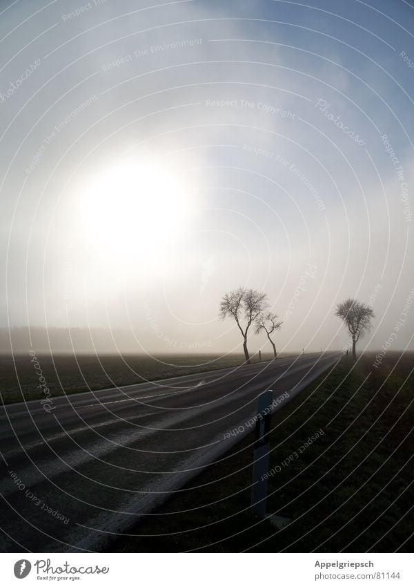 Nebel Baum Horizont Feld Wolken Fernstraße Straßenverkehr Paradies Schleier Nebelschleier Landstraße Perspektive Fahrbahn Aussicht Schnellstraße Verkehrswege