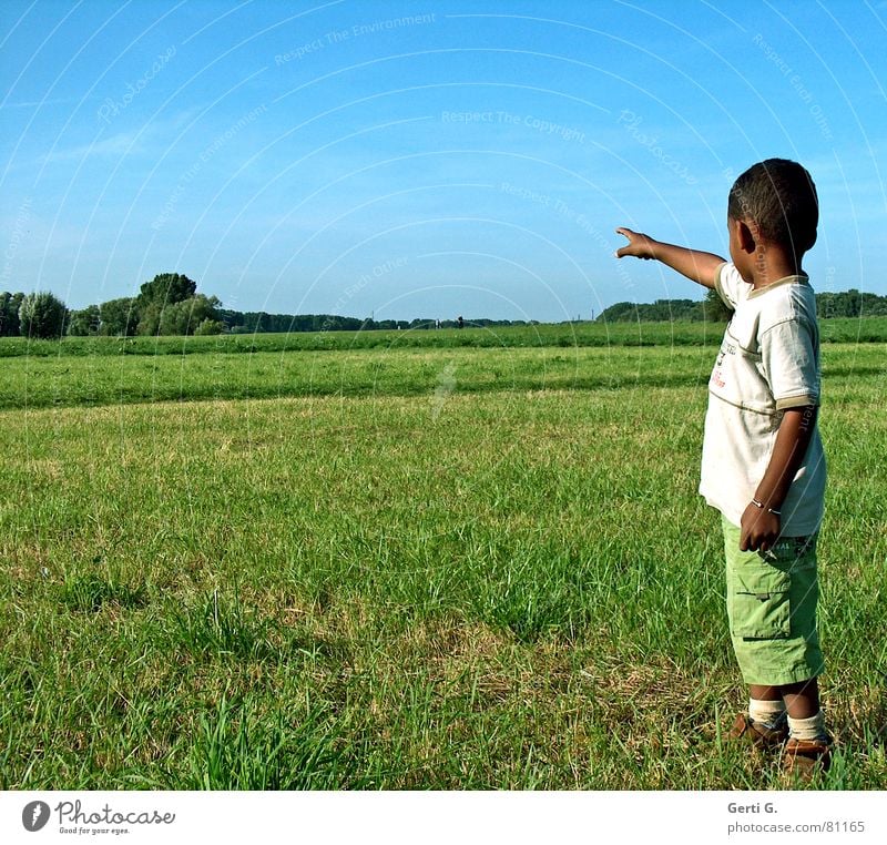 da ganz weit hinten... Richtung Kind Zeigefinger Wiese Hinweis Kindergartenkind grün himmelblau Baum Gras grasgrün Hose zeigen führen Konzentration Mensch