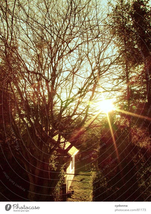 Kleine heile Welt Beleuchtung Sonnenuntergang Licht Baum Garten Haus blenden schön Stimmung Eindruck Zaun Aufgabe Geborgenheit Einsamkeit grün abgelegen Gras