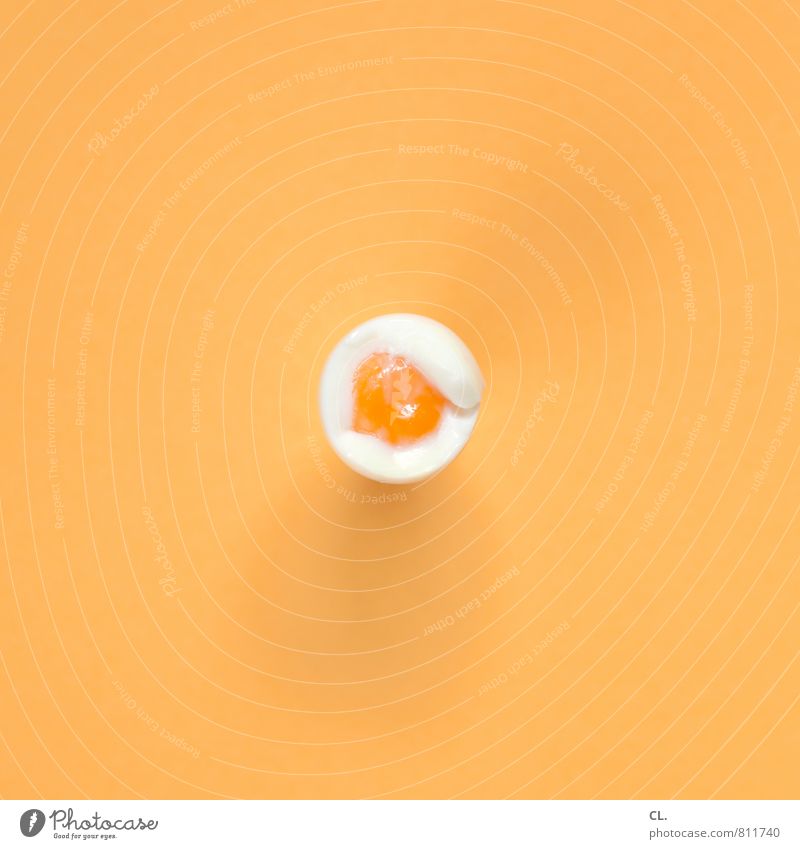 ei Lebensmittel Ei Ernährung Frühstück Essen ästhetisch gelb orange Design Farbe Inspiration Kreativität Eigelb Farbfoto Innenaufnahme Studioaufnahme