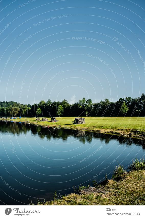 fischers fritz Umwelt Natur Landschaft Wolkenloser Himmel Sommer Schönes Wetter Baum Gras Sträucher Wiese Wald Seeufer einfach nachhaltig natürlich Sauberkeit