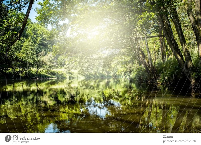 2000 Ferien & Urlaub & Reisen Tourismus Ausflug Sommer Sommerurlaub Sonne Umwelt Natur Landschaft Schönes Wetter Pflanze Baum Sträucher Flussufer ästhetisch